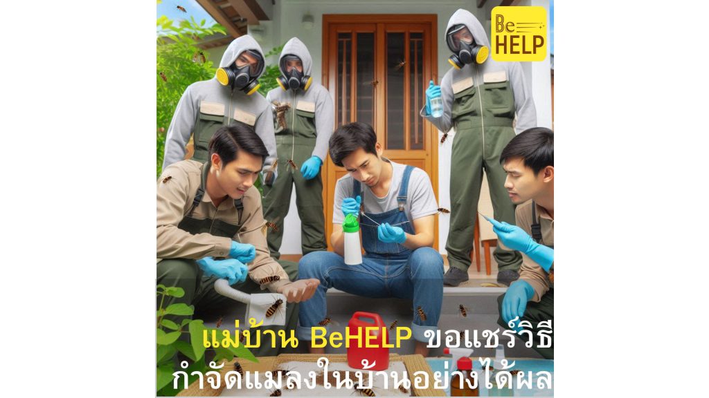 แม่บ้าน BeHELP ขอแชร์วิธีกำจัดแมลงในบ้านอย่างปลอดภัยและได้ผล