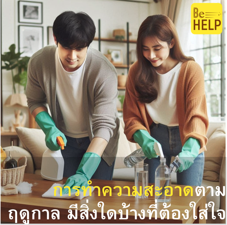 การทำความสะอาดตามฤดูกาล: สิ่งที่ต้องใส่ใจเป็นพิเศษ